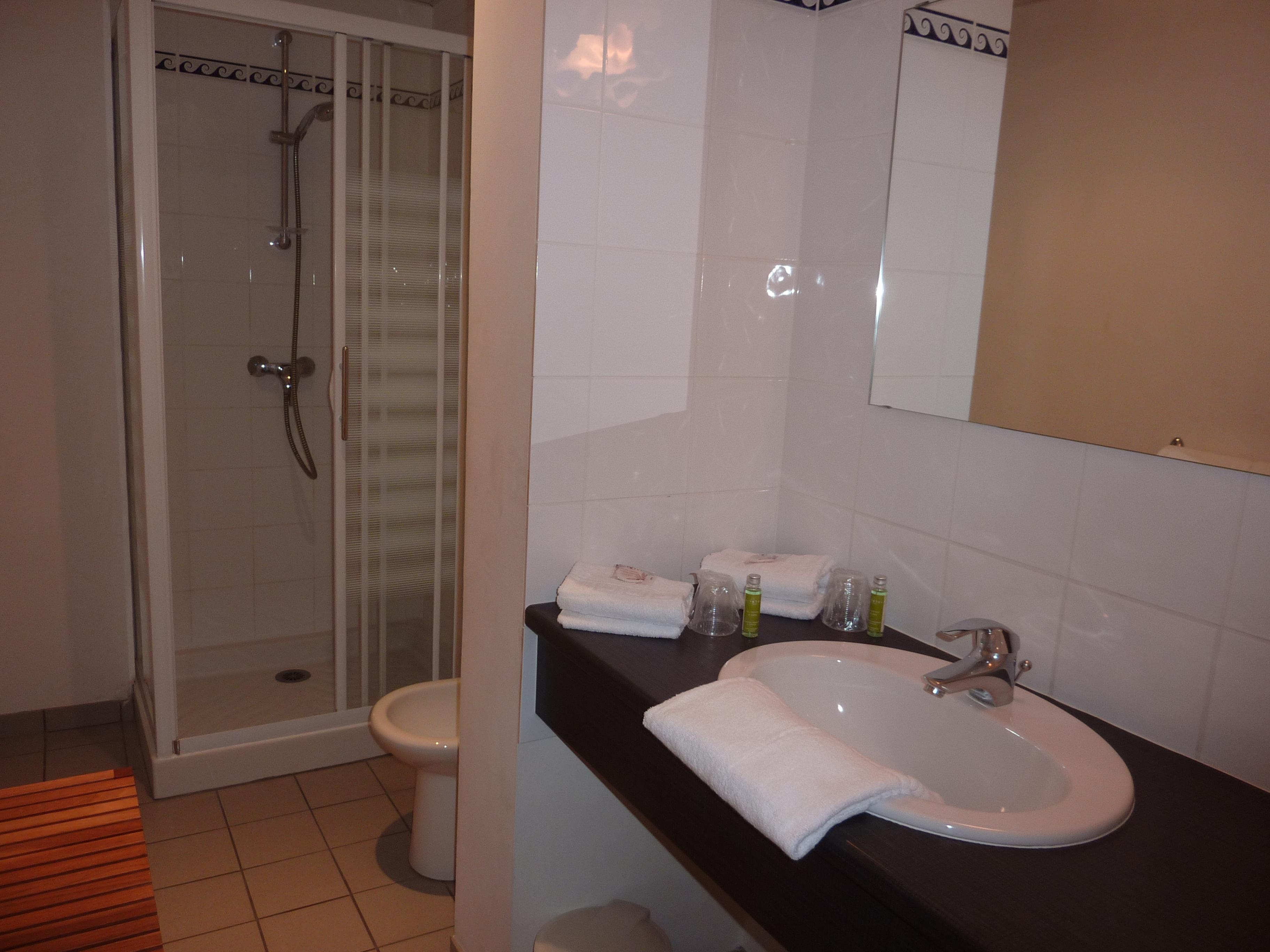 Cit'hotel De La Vallee 3* Lourdes