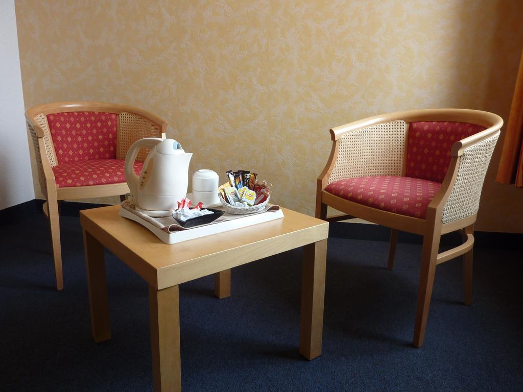 Cit'hotel De La Vallee Lourdes